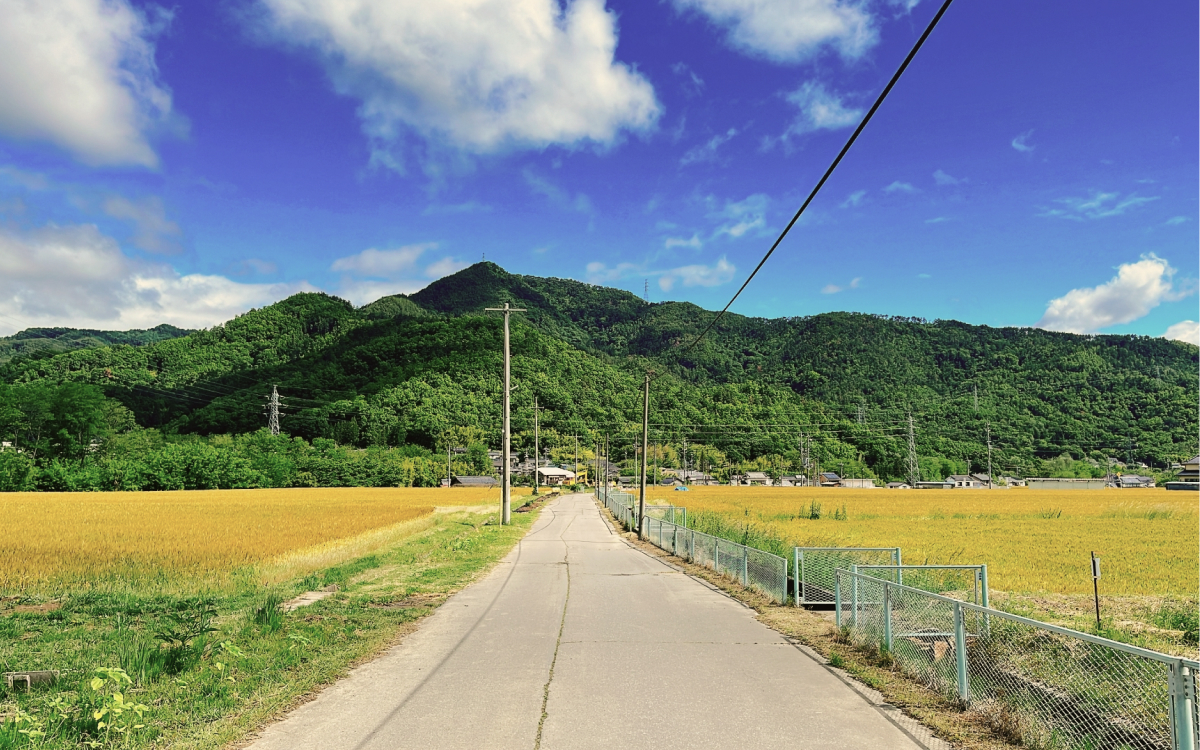 田舎道